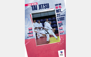stage national Tai-Jitsu (Saint Germain du Corbeis)