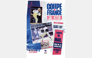coupe de France Tai Jitsu