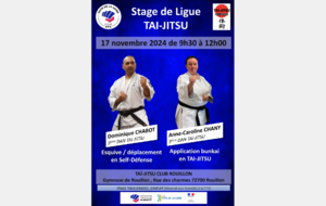 Stage de Ligue Tai Jitsu