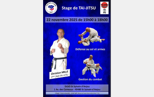 stage de Ligue Taï-Jitsu