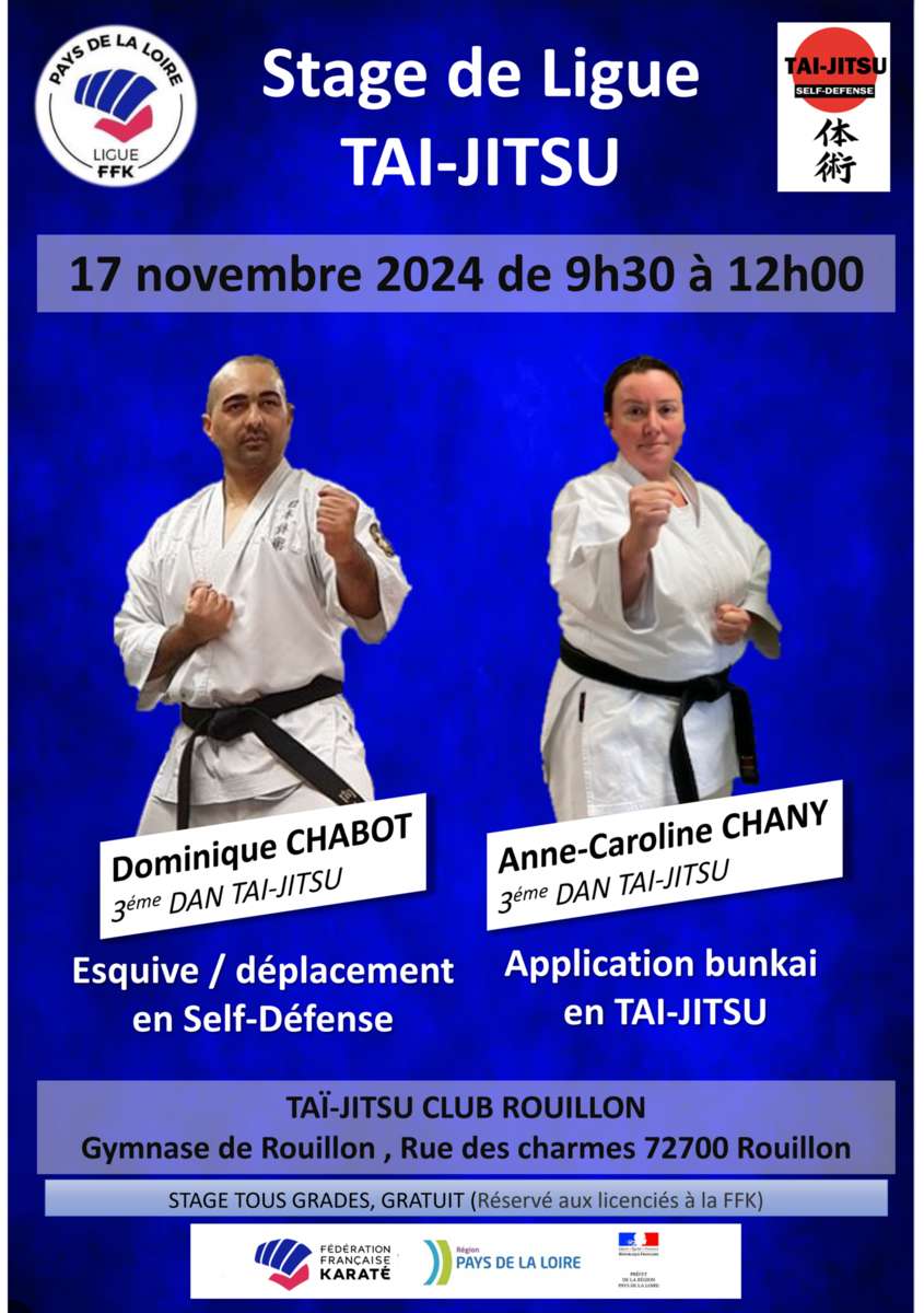 Stage de Ligue Tai Jitsu